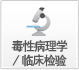 毒性病理学/临床检验 毒性病理学/临床检验