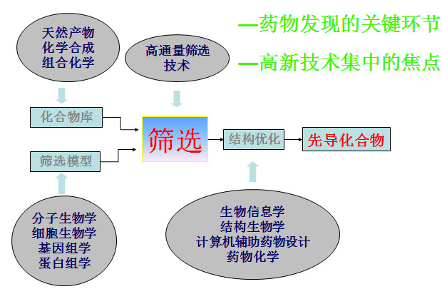 药物筛选模型流程图 药物筛选模型流程图