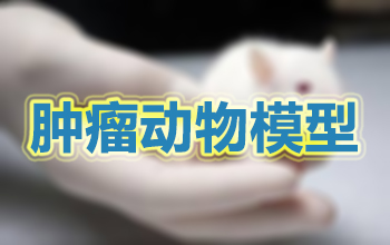 肿瘤动物模型 肿瘤动物模型
