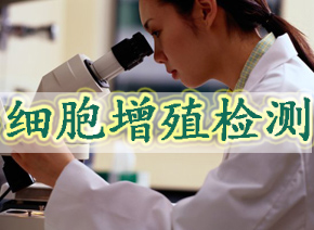 细胞增殖检测 细胞增殖检测