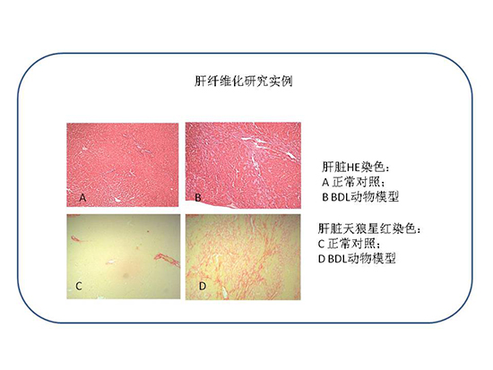 ad527519-b0bf-4e36-b734-2432d0e32e15 贝斯特 - 全球最奢华的游戏平台