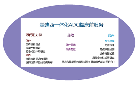 贝斯特全球最奢华的游戏平台一体化ADC临床前服务 贝斯特全球最奢华的游戏平台一体化ADC临床前服务