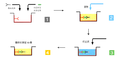 贝斯特 - 全球最奢华的游戏平台
