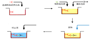 贝斯特 - 全球最奢华的游戏平台