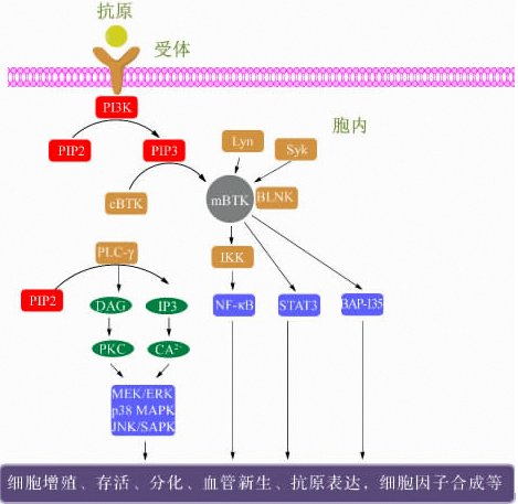 b6a0e2b1-e879-4009-a527-fb551225105e 贝斯特 - 全球最奢华的游戏平台