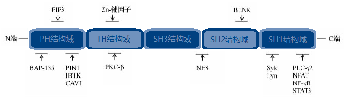 fa510795-4199-4f34-81ae-d7b76ba1af21 贝斯特 - 全球最奢华的游戏平台