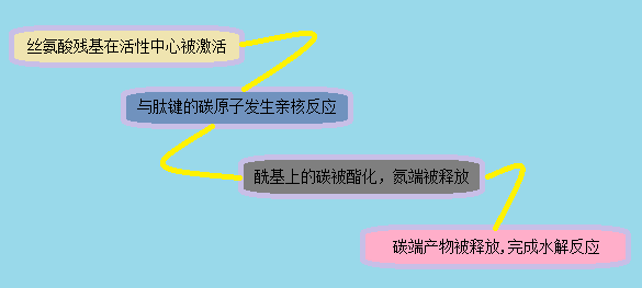 7cc2dfa4-41b0-4fd2-8133-d121272a4b5a 贝斯特 - 全球最奢华的游戏平台