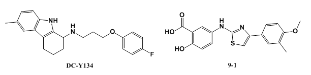 9dfa5261-5baa-408f-a2af-5f56f073727d 贝斯特 - 全球最奢华的游戏平台