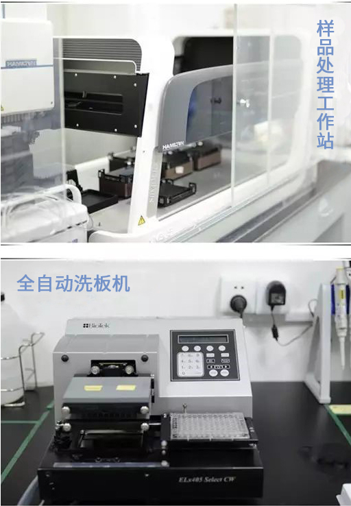 贝斯特 - 全球最奢华的游戏平台