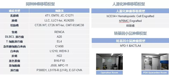 贝斯特全球最奢华的游戏平台药效学动物模型