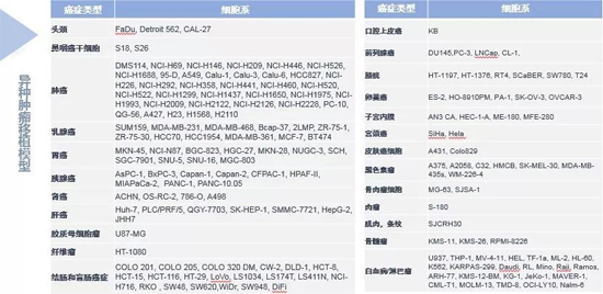 贝斯特全球最奢华的游戏平台药效学动物模型