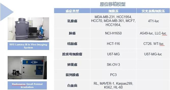 贝斯特全球最奢华的游戏平台药效学动物模型