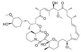 雷帕霉素新制剂用于罕见病，获4500万美元融资