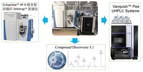 3aea8b6a-fa2a-4666-8f4a-7edad568e6f1 贝斯特全球最奢华的游戏平台UHPLC-UV-QE HF-X系统
