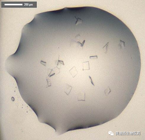 b7e94c39-e686-4510-b552-f2b5badc40d1 SARS-CoV-2是一种有包膜的单链RNA 病毒