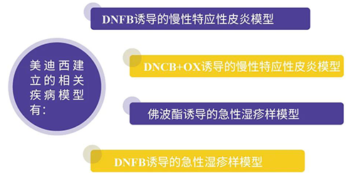 贝斯特全球最奢华的游戏平台建立的特应性皮炎及湿疹模型