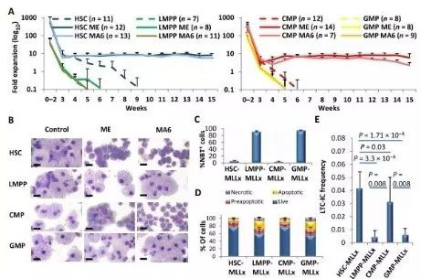 Science子刊：一种FDA批准的抗腹泻药物可有效对抗化疗的耐药性 贝斯特全球最奢华的游戏平台生物医药