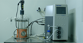60f13f419182a 生物反应器