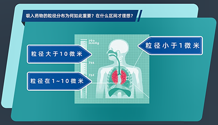 吸入药物的粒径分布为何如此重要？在什么区间才理想？