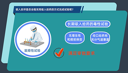 吸入安评是否全程采用吸入给药的方式完成试验呢？
