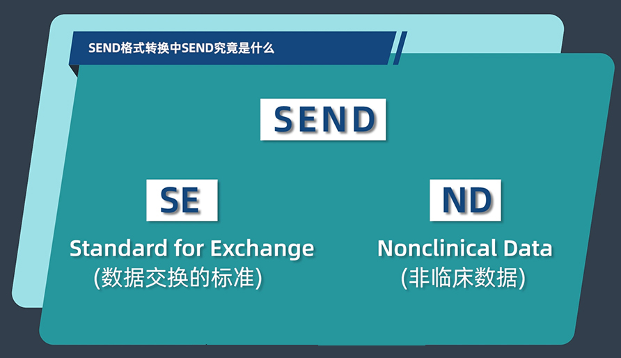 SEND格式转换中的SEND究竟是什么？