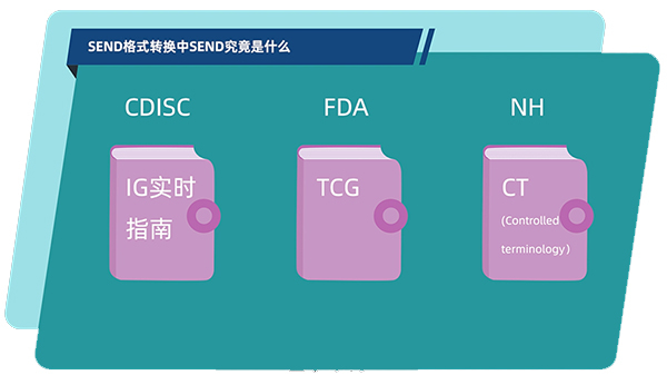SEND的构成.jpg SEND的构成.jpg
