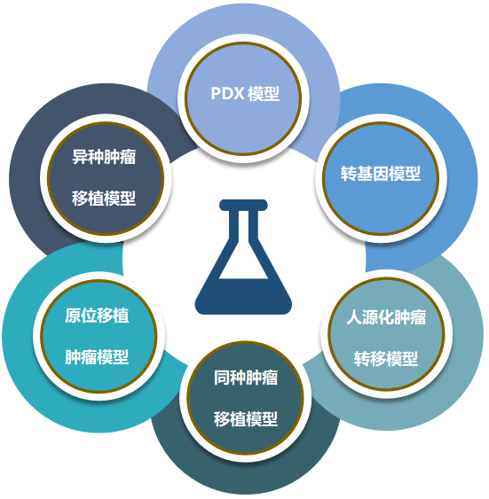 贝斯特全球最奢华的游戏平台致力于为客户提供成熟的评估ADC体内药效的肿瘤模型.png 贝斯特全球最奢华的游戏平台致力于为客户提供成熟的评估ADC体内药效的肿瘤模型.png
