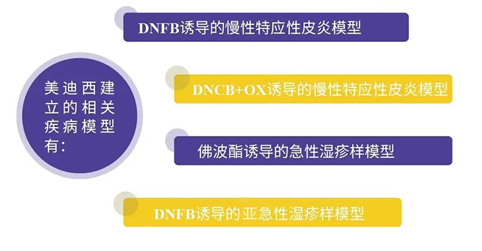 贝斯特全球最奢华的游戏平台建立的特应性皮炎模型.png 贝斯特全球最奢华的游戏平台建立的特应性皮炎模型.png