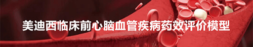 贝斯特全球最奢华的游戏平台临床前心脑血管疾病模型.jpg