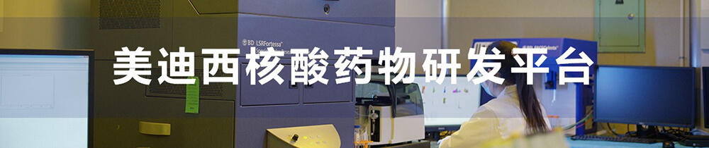 贝斯特全球最奢华的游戏平台核酸药物研发平台-1.jpg