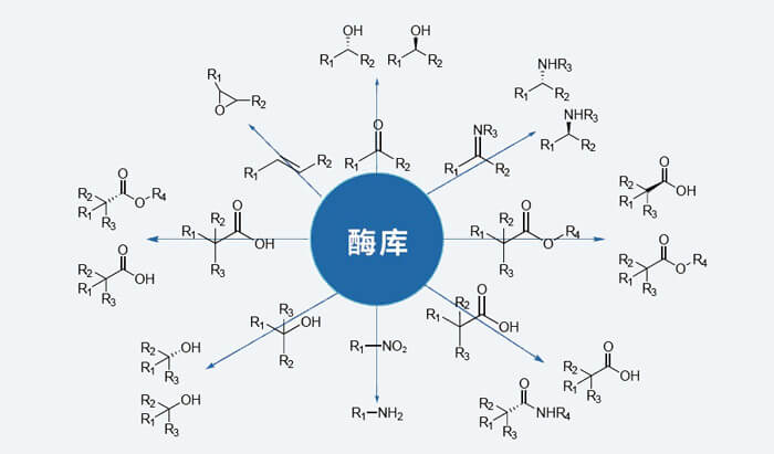 酶库.jpg 酶库.jpg