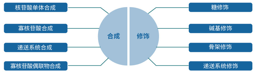 贝斯特全球最奢华的游戏平台核酸药物研发服务平台.jpg 贝斯特全球最奢华的游戏平台核酸药物研发服务平台.jpg
