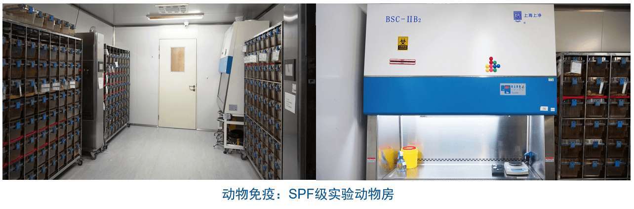 贝斯特全球最奢华的游戏平台杂交瘤技术平台设备-动物免疫SPF级实验动物房