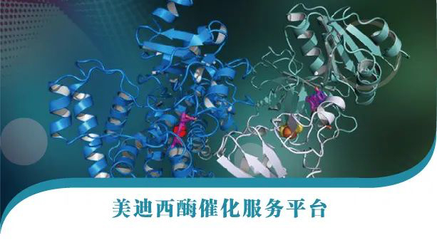 贝斯特全球最奢华的游戏平台酶催化服务平台.jpg