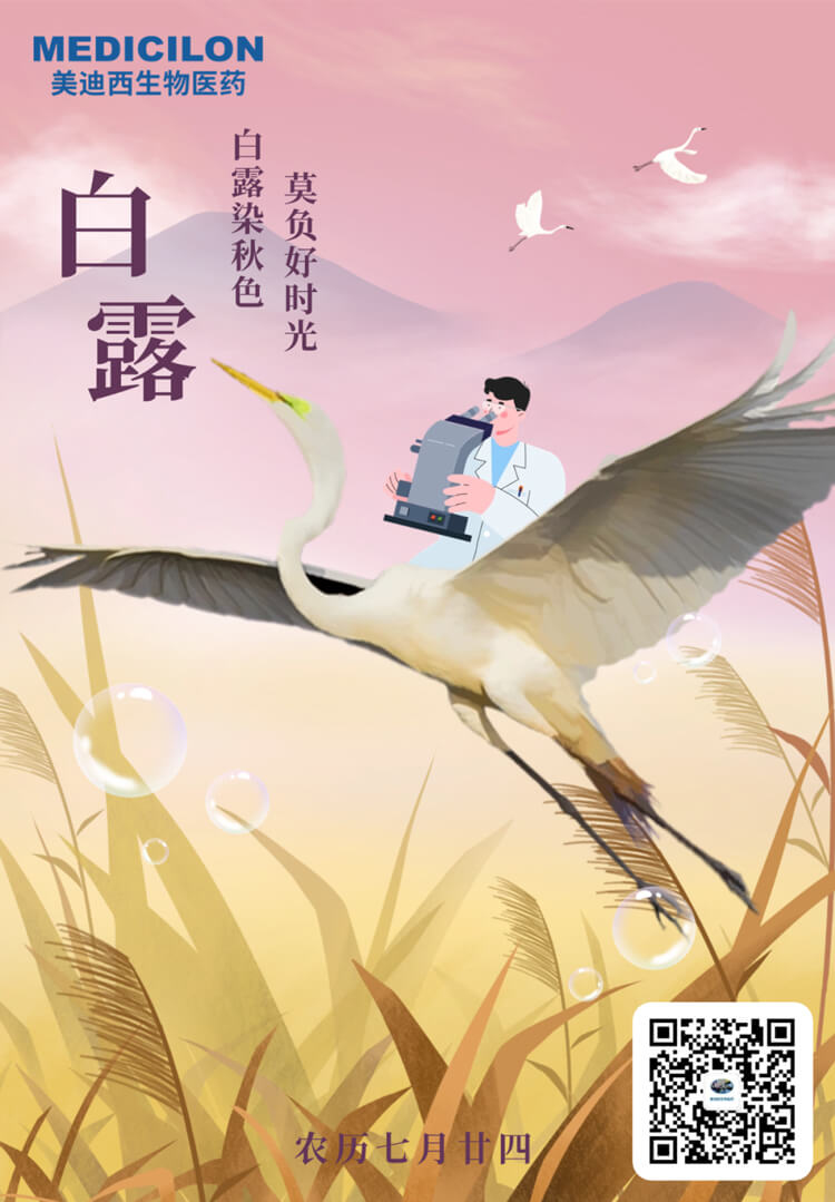 白露染秋色，莫负好时光.jpg