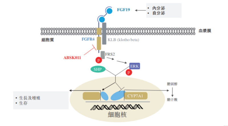 图源:公开资料.jpg 图源:公开资料.jpg