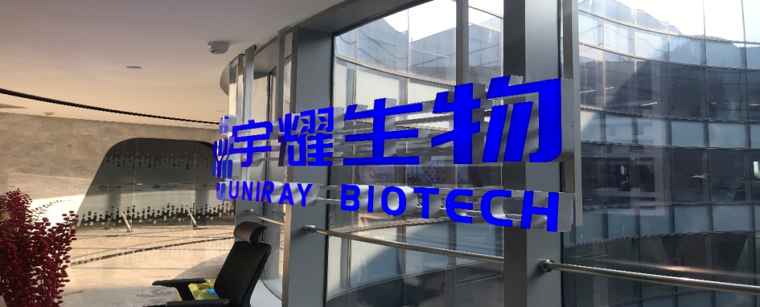 贝斯特全球最奢华的游戏平台助力 | 宇耀生物STAT3双磷酸化位点抑制剂YY201成功完成中美双报