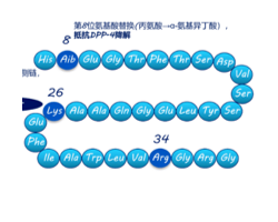 658e3ab394e6c 小肽药物的筛选与合成