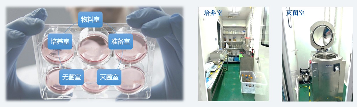 微生物实验室-培养室和灭菌室.jpg 微生物实验室-培养室和灭菌室.jpg