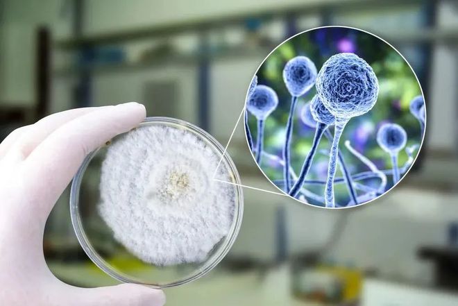 贝斯特全球最奢华的游戏平台助力 | 祥根生物首款创新药SG1001口服片剂中国IND获批