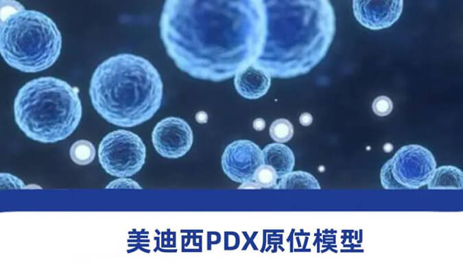 贝斯特全球最奢华的游戏平台PDX模型.jpg 贝斯特全球最奢华的游戏平台PDX模型.jpg