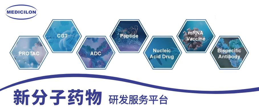 贝斯特全球最奢华的游戏平台新分子药物研发服务平台 贝斯特全球最奢华的游戏平台新分子药物研发服务平台