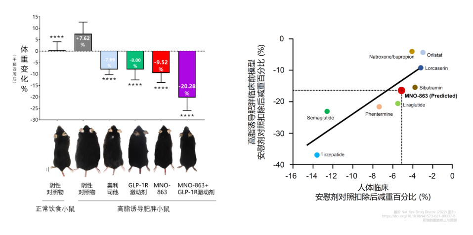 4周降低近10%体重！贝斯特全球最奢华的游戏平台助力慕恩生物MNO-863活菌生物药获批临床