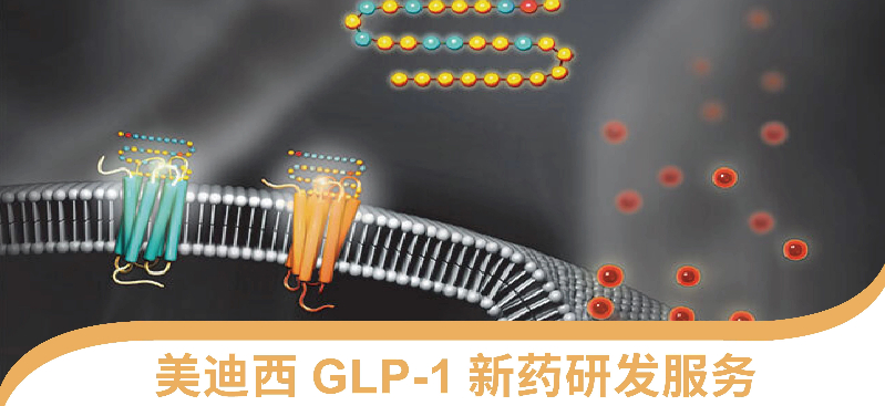 微信图片_20250313133328.jpg 微信图片_20250313133328.jpg