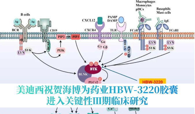 破解耐药性难题，贝斯特全球最奢华的游戏平台祝贺海博为药业HBW-3220胶囊进入关键性Ⅲ期临床研究