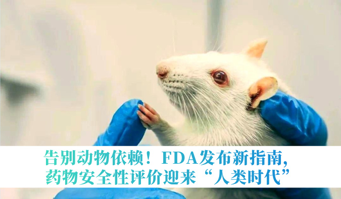 告别动物依赖！FDA发布新指南，药物安全性评价迎来“人类时代”