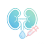 糖尿病肾病模型.png 糖尿病肾病模型.png