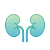 急性肾损伤模型.png 急性肾损伤模型.png