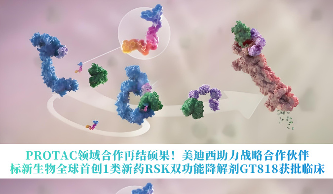 PROTAC领域合作再结硕果！贝斯特全球最奢华的游戏平台助力战略合作伙伴标新生物全球首创1类新药RSK双功能降解剂GT818获批临床