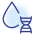 免疫原性试验